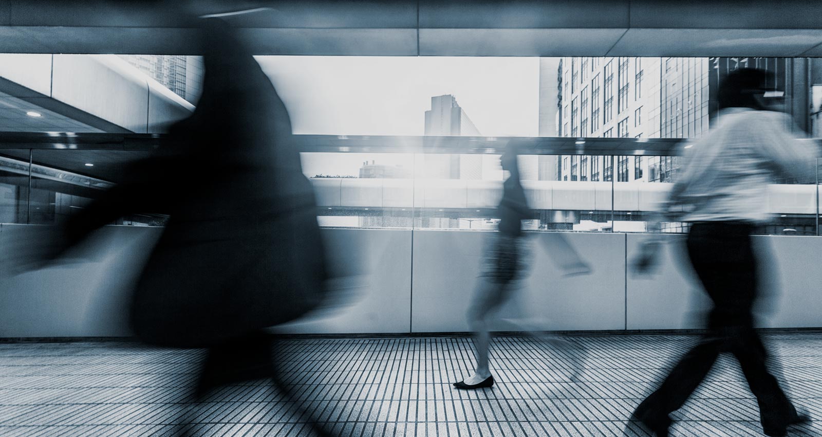 lawyers in toronto